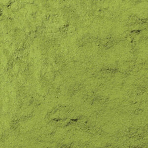 Te matcha japones ceremonial (BIO) 1 kg.